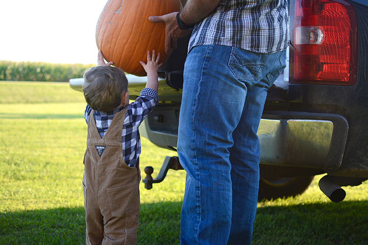 Pumpkin Patch, Fall | My Darling Days Pumpkin Patch, Fall | My Darling Days
