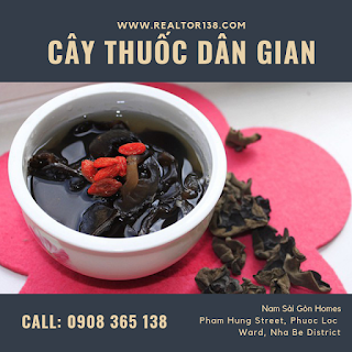 mộc nhĩ chữa rối loạn tiền đình
