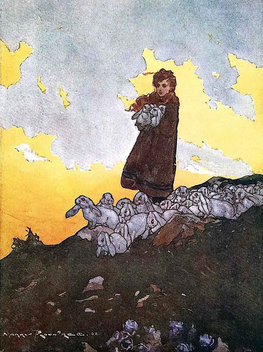 a Harry Rountree a Harry Rountree book color illustration