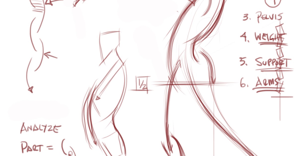 gesture drawing step by step