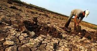 Pengelolaan Lahan Kering