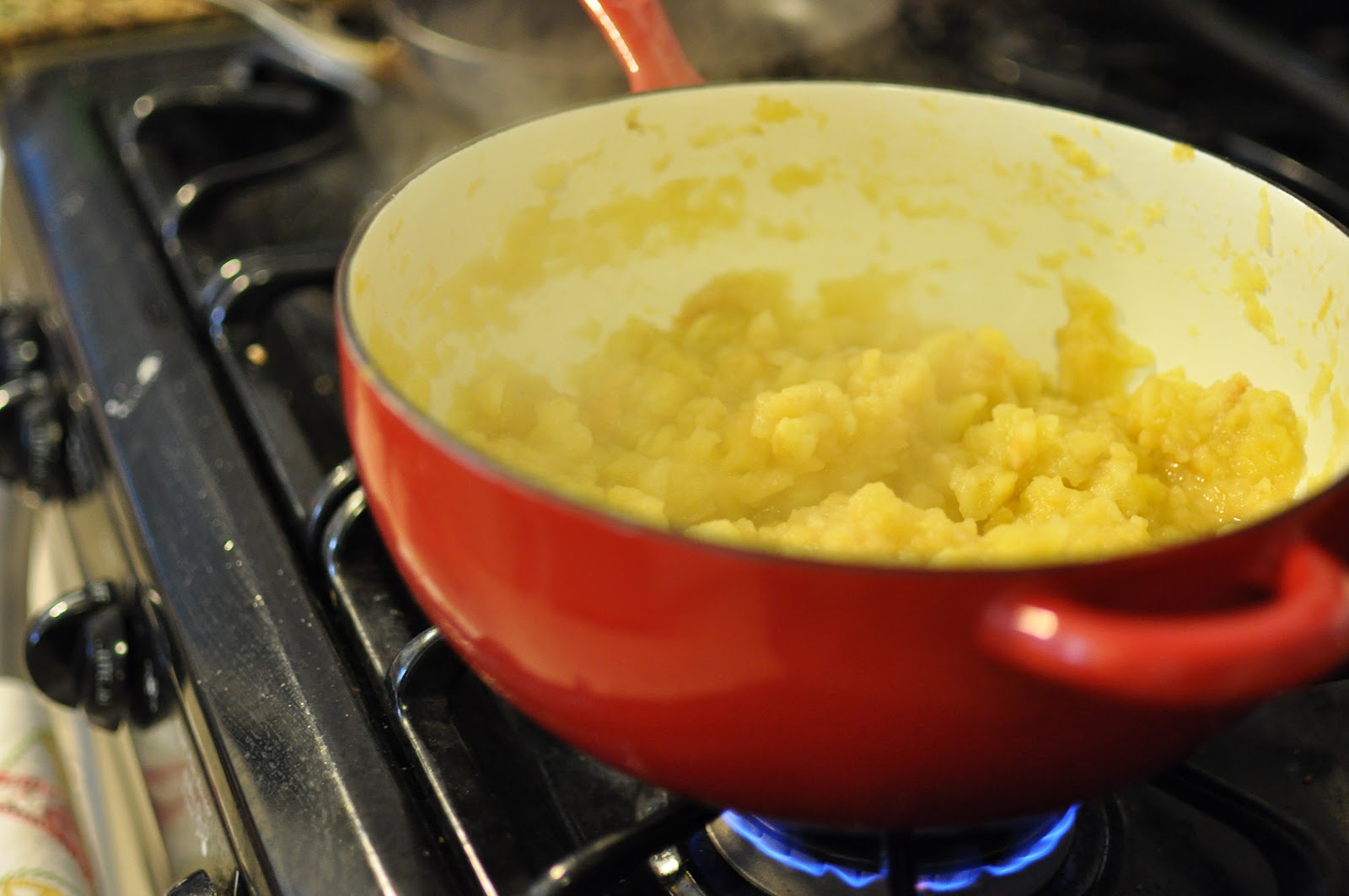 Domestic Fashionista Homemade Apple Sauce and Dehydrated Fruit Roll Ups