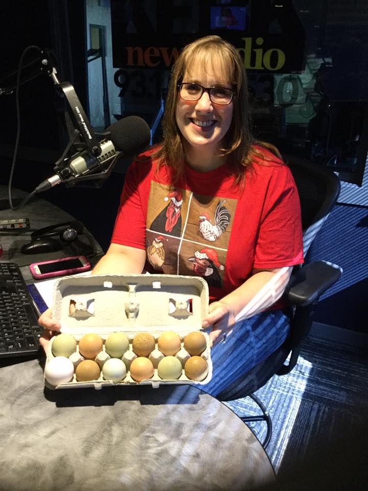 Chickens For Eggs Chicken Consulting for the Urban Backyard Flock