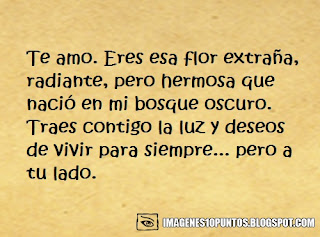 poemas de te amo poemas de te amo