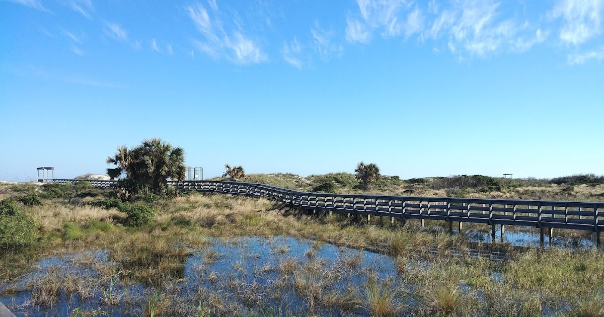 Conoce a Ocean Hammock park