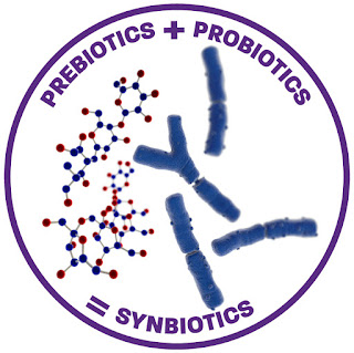 Synbiotic