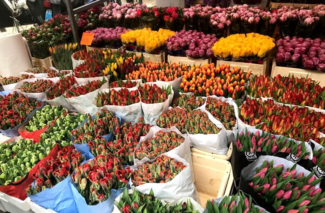 Đến Utrecht Hà Lan vào thời điểm nào trong năm cũng đẹp