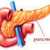 Alimentația pancreasului