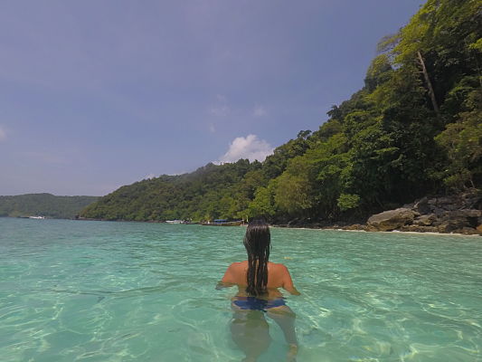 monkey beach phi phi monkey beach phi phi