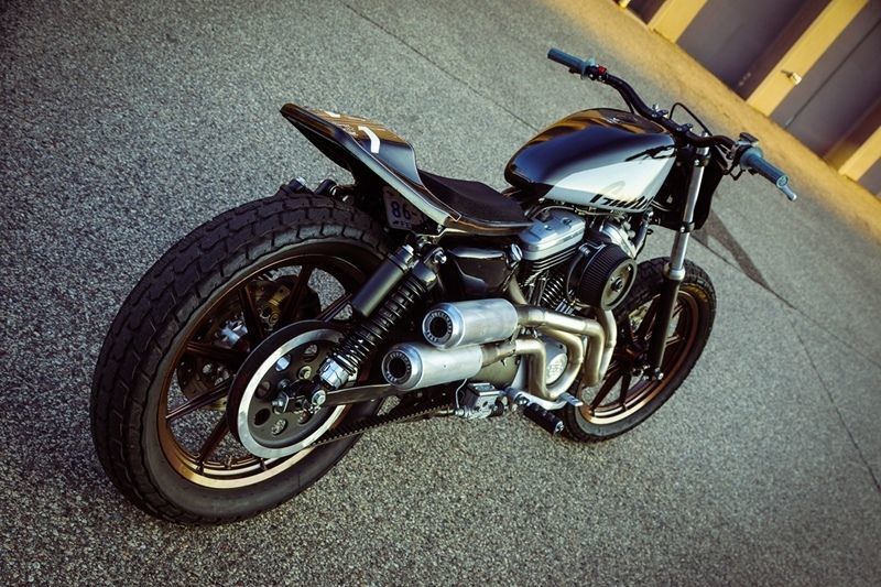 Flat Track Racing - Modern Harley-Davidson Super Hooligan Pictures