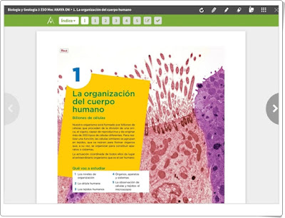 https://www.blinklearning.com/Cursos/c419259_c17520579__1__La_organizacion_del_cuerpo_humano.php