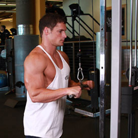 how to increase my arm size quickly: build BIGGER arms
