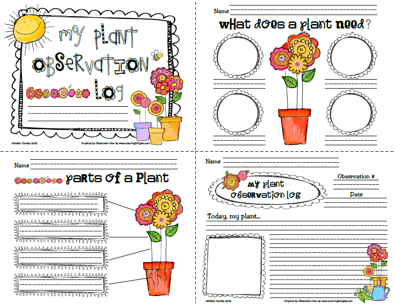 free-printable-plant-observation-journal-printable-templates