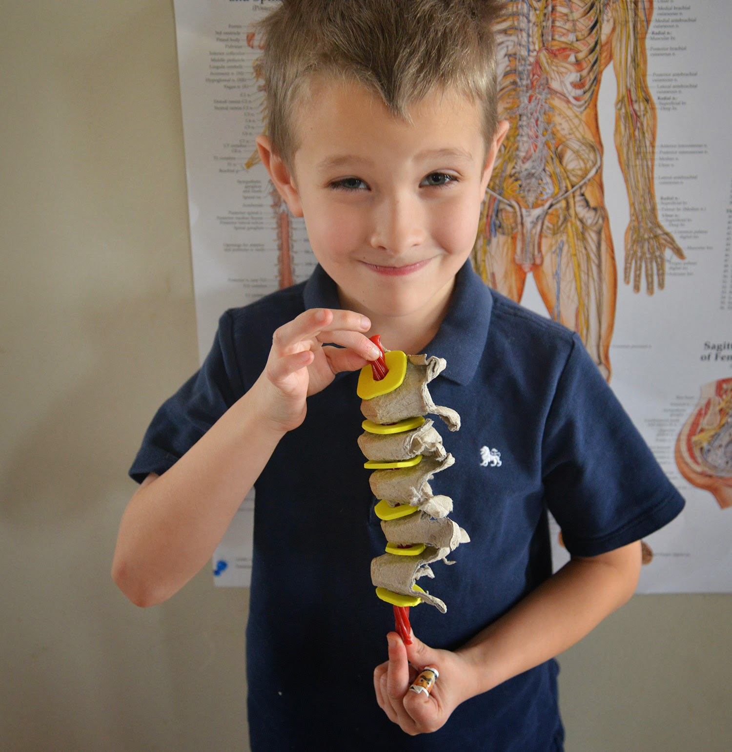 A school of fish Spinal Cord model with egg carton and licorice