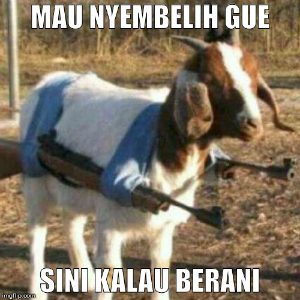 Koleksi Gambar Meme Foto Lucu dan Unik Idul Adha Koleksi Gambar Meme Foto Lucu dan Unik Idul Adha