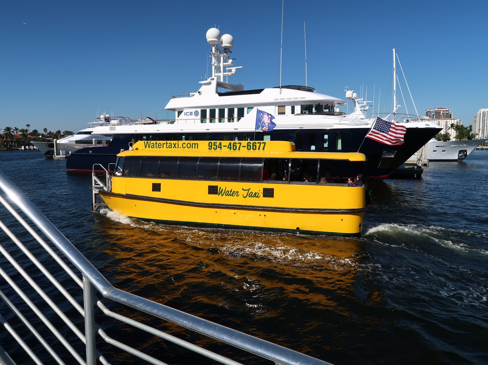Where is Cookie? Fort Lauderdale's water taxi lures adventurer, sun