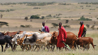Three Herdsmen Missing In Enugu, One Sustains Gunshot Wounds Three Herdsmen Missing In Enugu, One Sustains Gunshot Wounds
