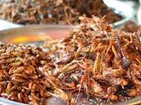 Mengolah Jangkrik menjadi Cemilan Sehat dan Bergizi tinggi Mengolah Jangkrik menjadi Cemilan Sehat dan Bergizi tinggi