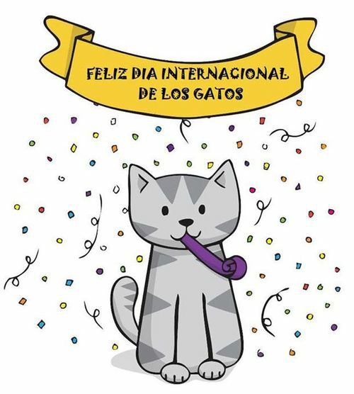 8 de Agosto, Día Internacional del Gato Puros Gatos