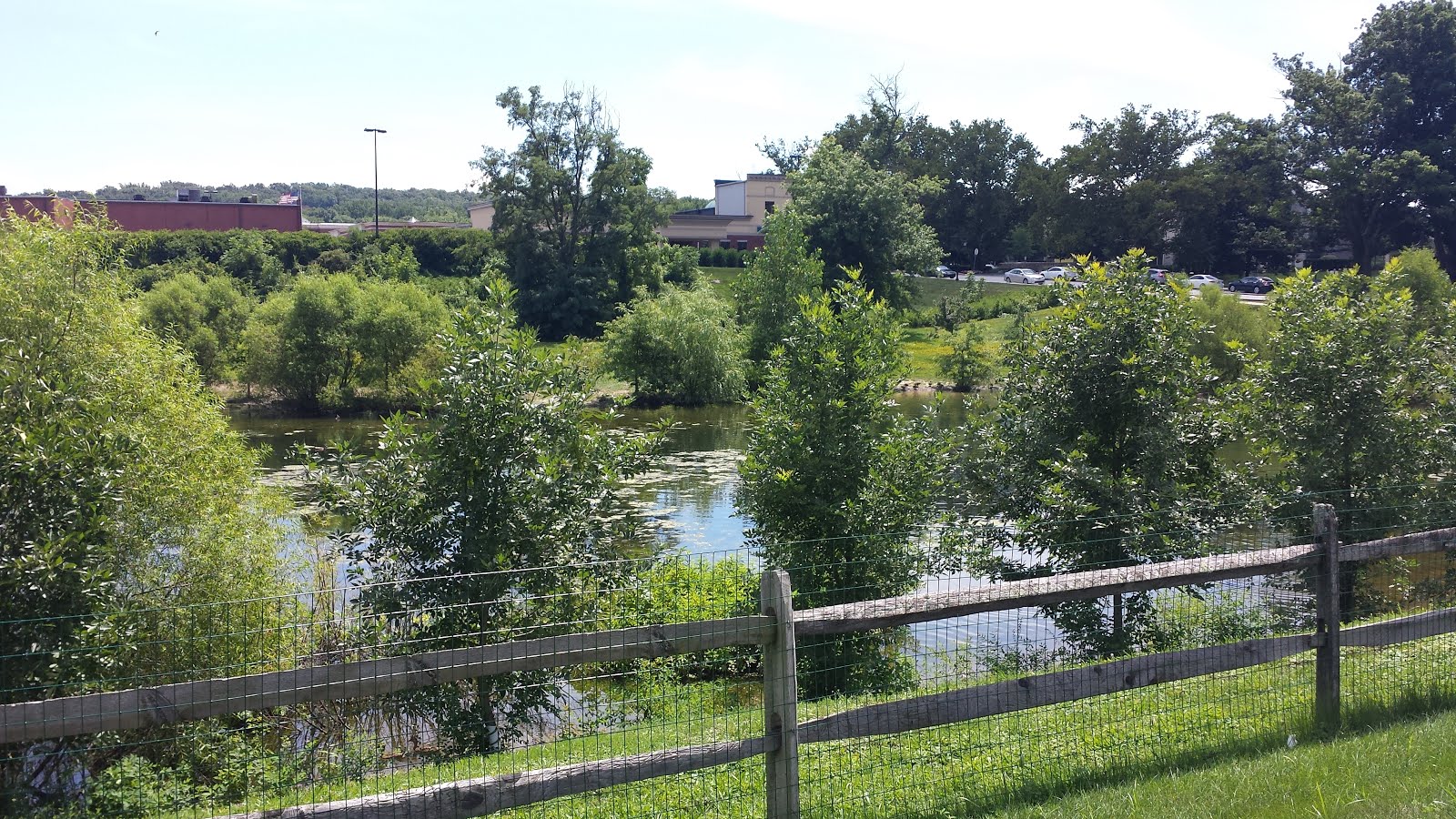 Mark's Bike Tock Chester Valley Trail