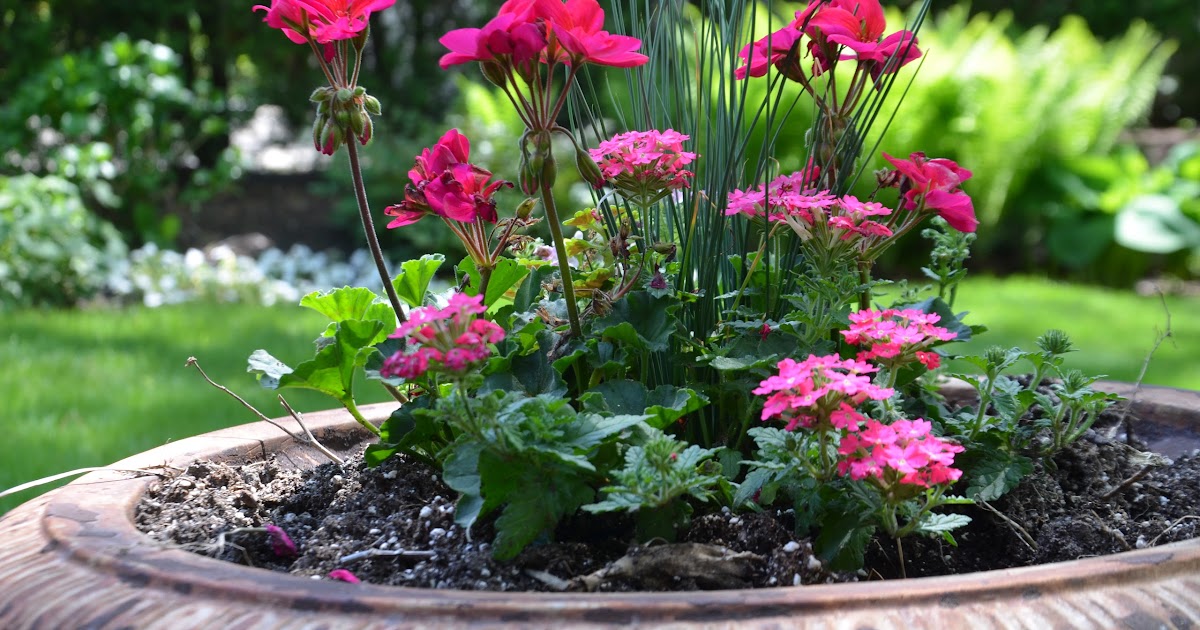 Zone Five and a Half When To Plant Flowers in Michigan?