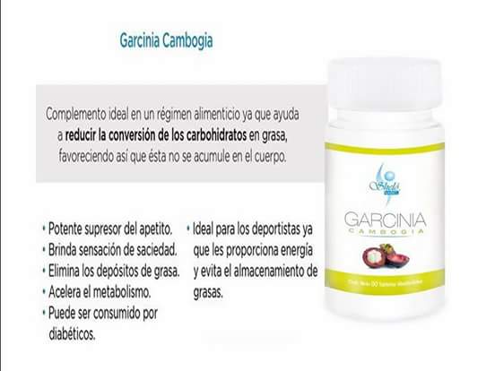 shelo nabel garcinia cambogia