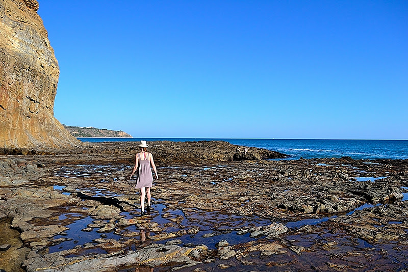 Believe It or Not This is LA Palos Verdes Tide Pools