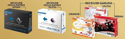 Beberapa receiver matrix garuda