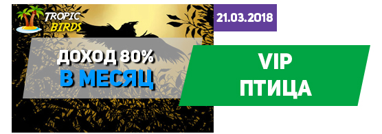 В игре tropic-birds.biz добавили VIP птицу В игре tropic-birds.biz добавили VIP птицу