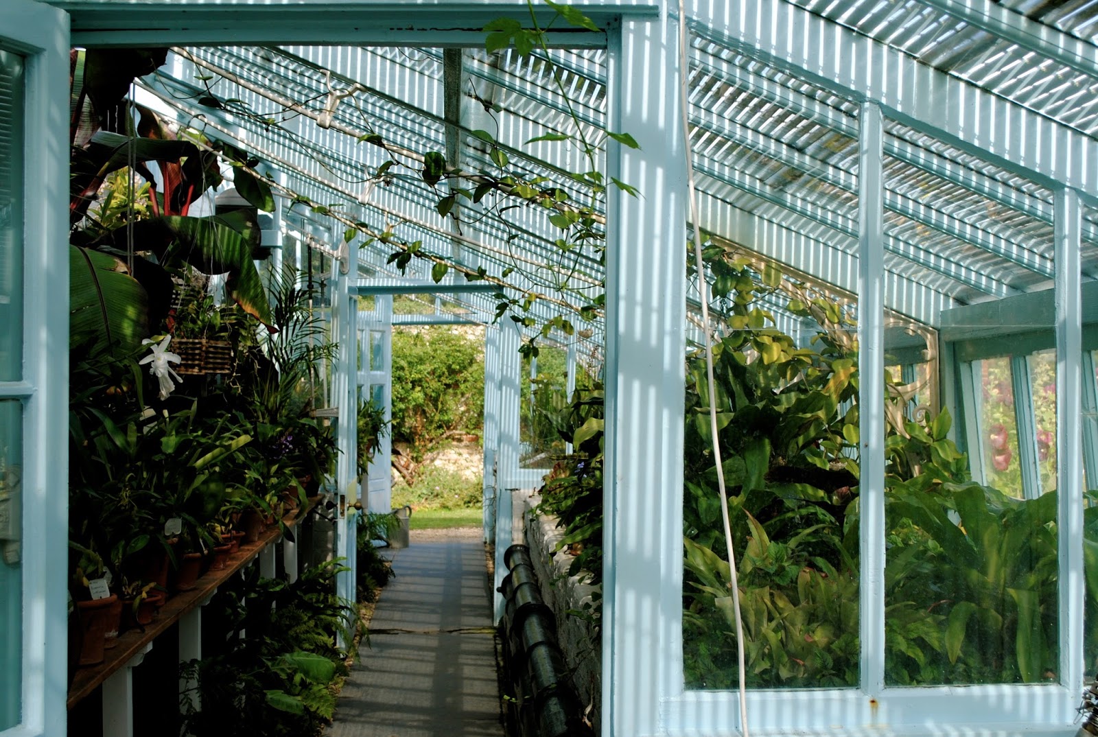 The Greenhouse of Charles Darwin at the Downe House in Kent England