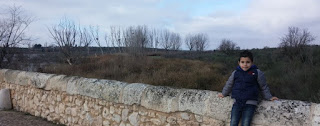 Las Tablas de Daimiel, provincia de Ciudad Real. Las Tablas de Daimiel, provincia de Ciudad Real.