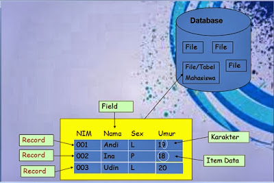 Pemahaman Pada Basis Data | Belajar Tips Komputer Dan Internet