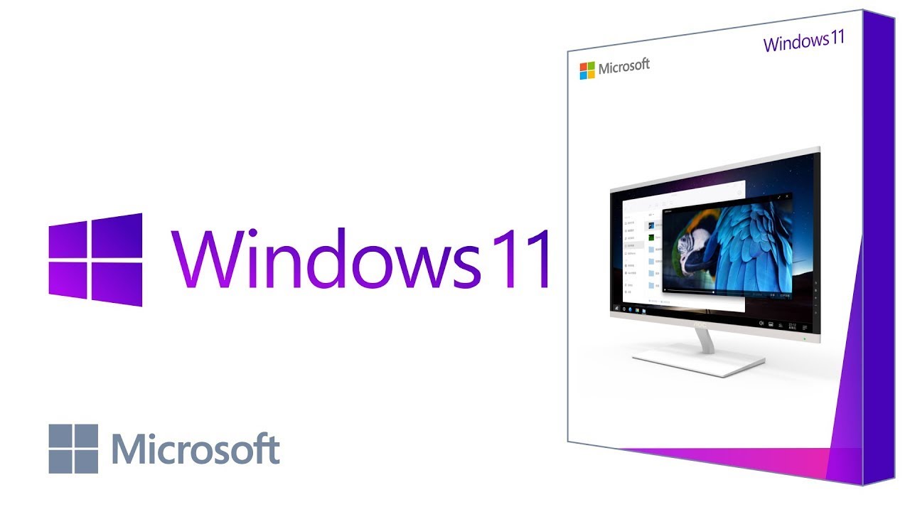 windows 11 download full version direct link