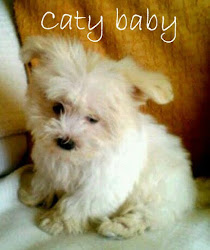 Mi perrita Caty