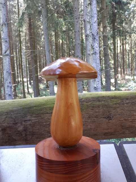 mushrooms at nationalpark Eifel
