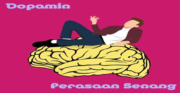 Dopamin dan Rasa Senang Apa itu dopamine? Fungsi, Efek Kekurangan Kelebihan Dopamin