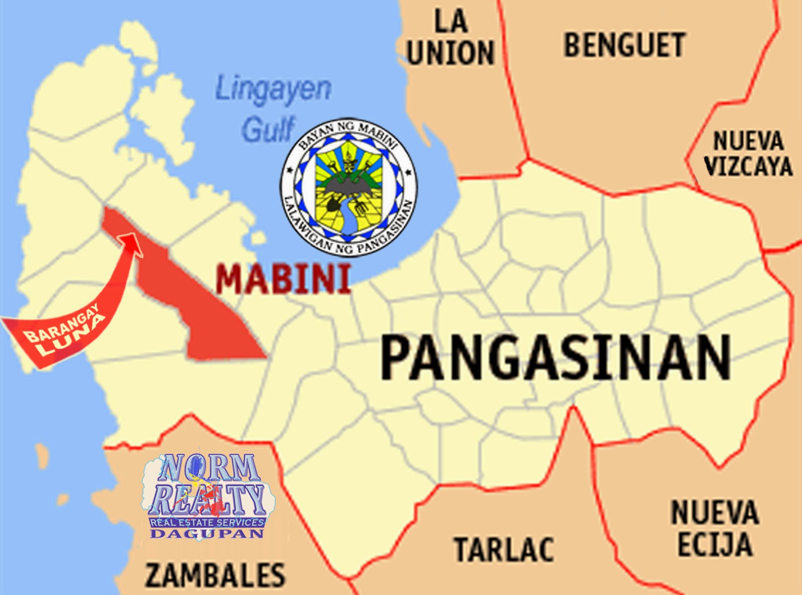 NormRealty Dagupan Mabini Pangasinan 21Hectare Land for Agricultural