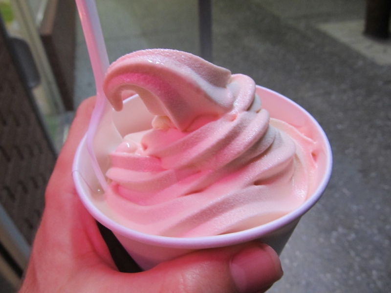 Watch Me Eat Green Apple Frozen Yogurt in Clearwater Beach, FL