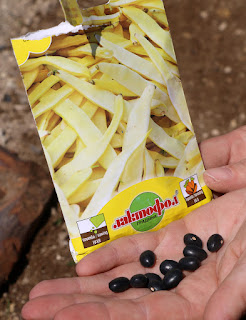Black pea seeds Black pea seeds