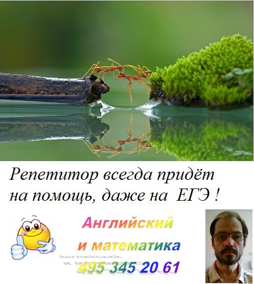 Онлайн репетитор по математике, физике, Экономико-математическим ...