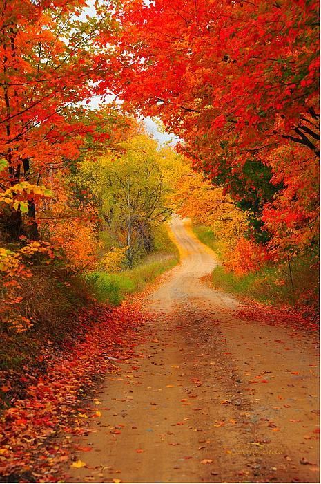 Autumn cameo in Cadillac, Michigan, USA
