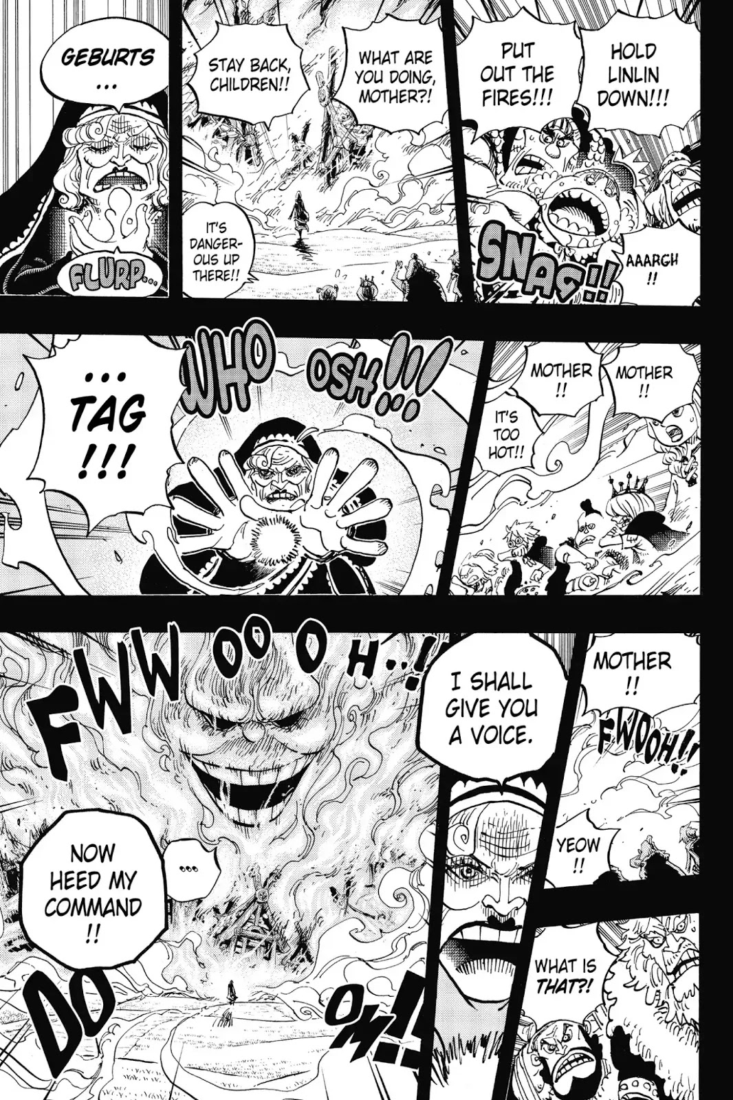 One Piece 867