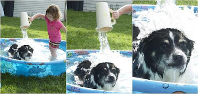 Lustiges Kind wäscht Hund im Pool Lustiges Kind wäscht Hund im Pool