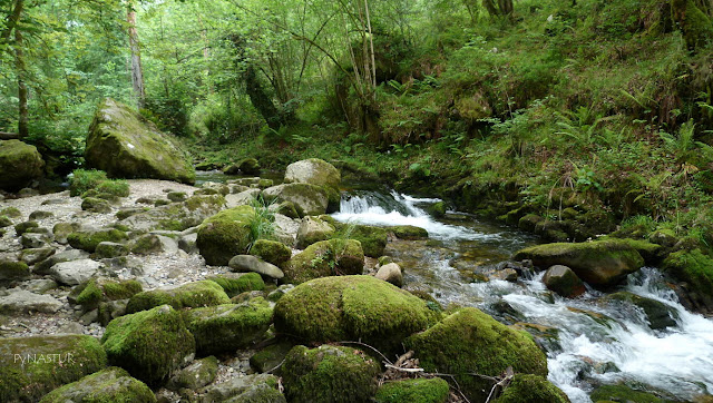 Río Infierno en el Área Recreativa de La Pesanca - Piloña - Asturias Río Infierno en el Área Recreativa de La Pesanca - Piloña - Asturias
