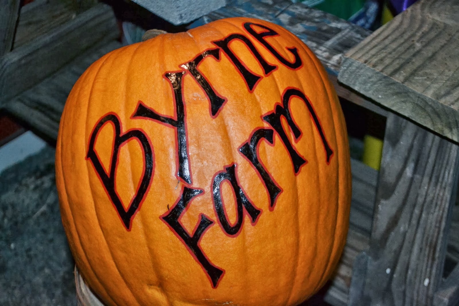 It's All About Purple Byrne Farm Market