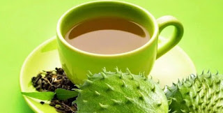 cara mengolah daun sirsak untuk wasir cara merebus daun sirsak untuk wasir cara membuat ramuan daun sirsak untuk wasir cara mengobati wasir dg daun sirsak resep daun sirsak untuk wasir buah sirsak obat wasir mengobati wasir dengan daun sirih daun untuk wasir