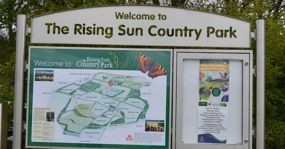 Rising Sun Country Park A Pushchair & Dogfriendly Walk in North