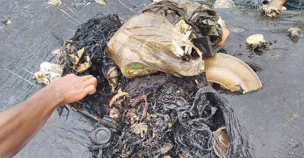Hallan una ballena muerta en Indonesia con más de 1.000 plásticos en el estómago. Hallan una ballena muerta en Indonesia con más de 1.000 plásticos en el estómago.
