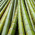 Mesin Pembelah Bambu Batangan Panjang