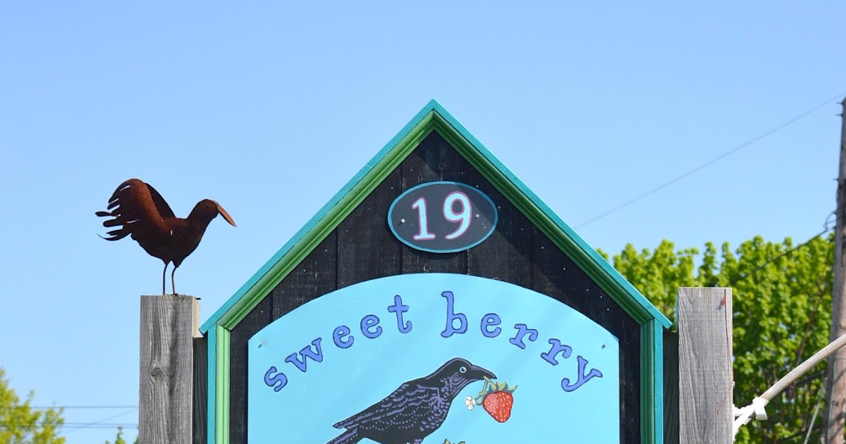 Annabanana Sweet Berry Farm Middletown, RI